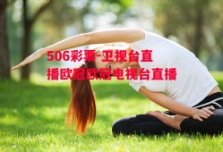 506彩票-卫视台直播欧冠欧冠电视台直播